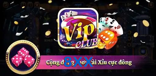8XX