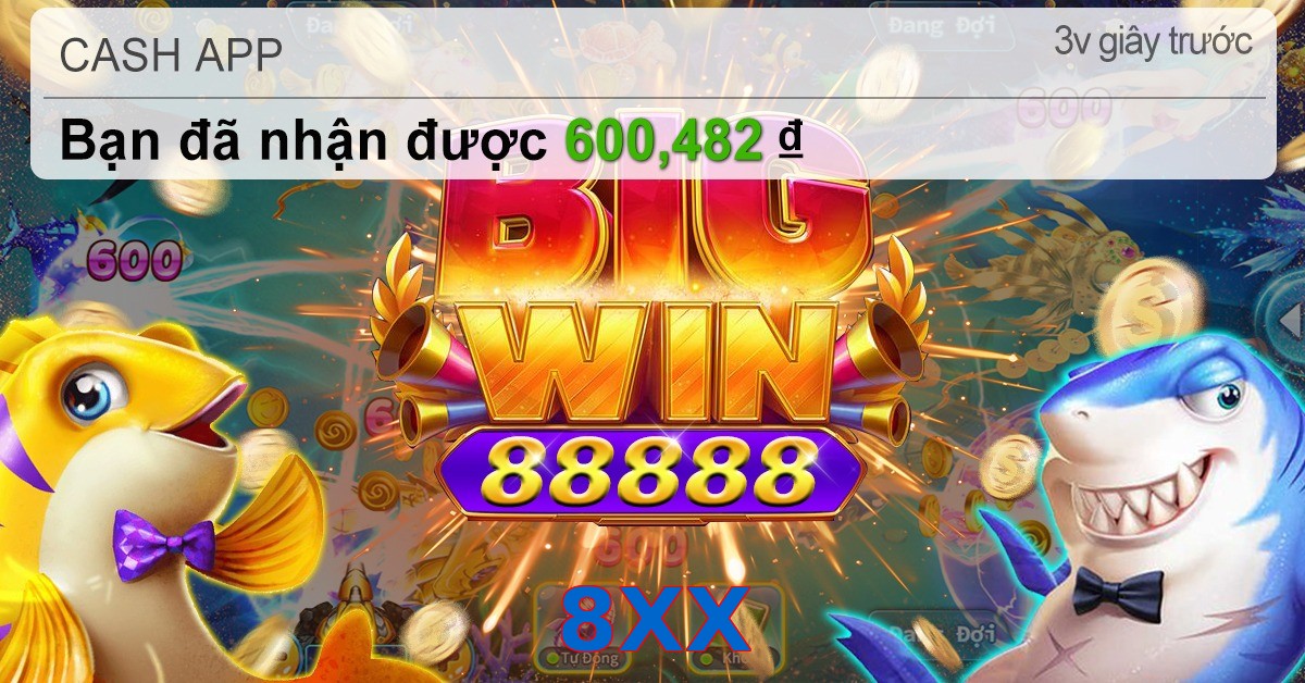 8XX